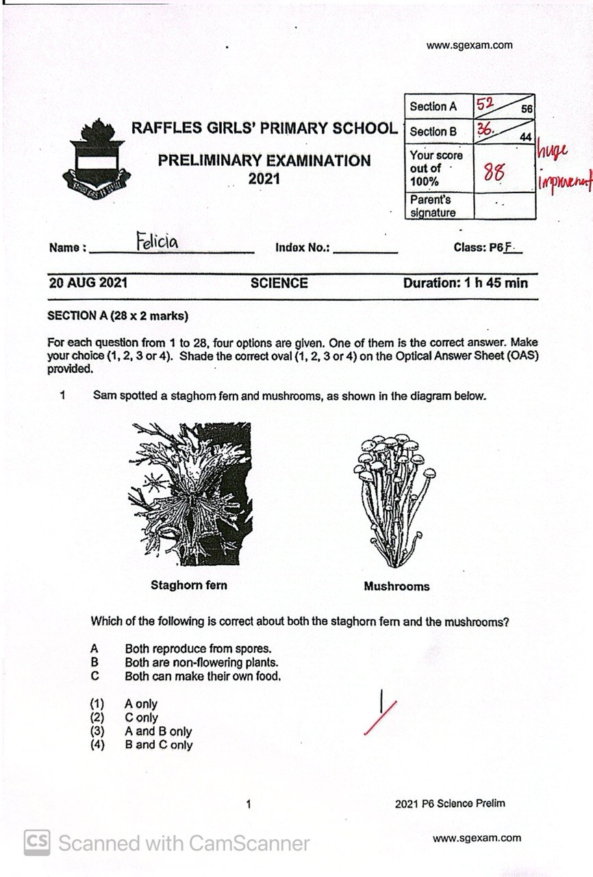 After result of Felicia