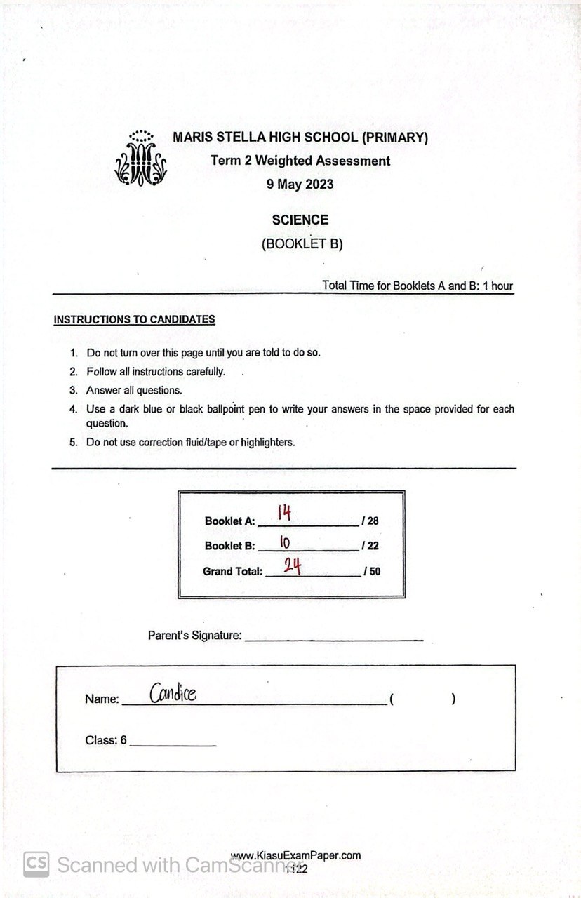 Before result of Candice