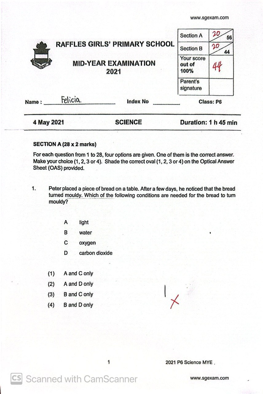 Before result of Felicia